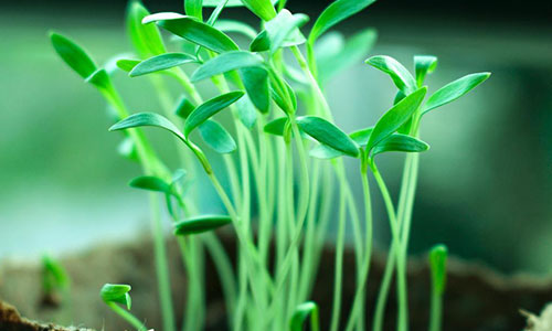 揭秘自媒体之路,如何用百度平台实现财富增长 揭秘自媒体之路,如何用百度平台实现财富增长