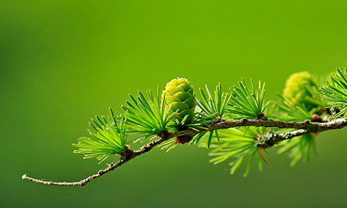 如何寻找大学生兼职工作 如何寻找大学生兼职工作